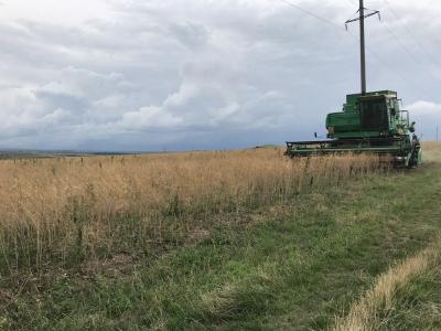 Прикрепленное изображение: ы.jpg